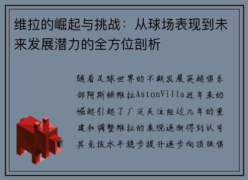 维拉的崛起与挑战：从球场表现到未来发展潜力的全方位剖析